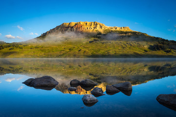 《狼王梦》的结局是什么