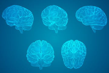 “龖、龘、纛、爨、灪、麤、彠”怎么读？