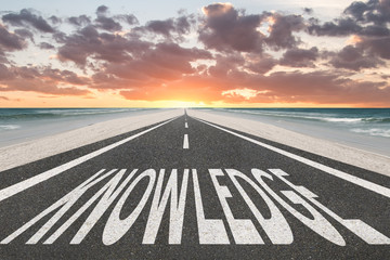 胚胎是怎样形成的