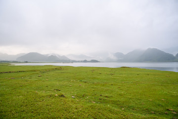 我拿青春去赌陪你熬过了苦是什么歌