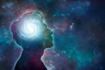 《狼王梦》的结局是什么