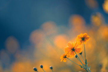 介绍一些经典的动漫作品