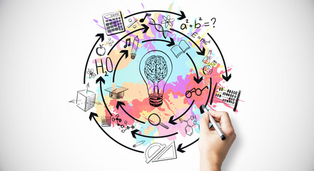 胚胎是怎样形成的