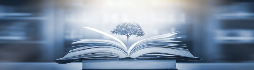 一年级的简单又漂亮禁毒手抄报 一年级的手抄报