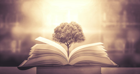 我拿青春去赌陪你熬过了苦是什么歌