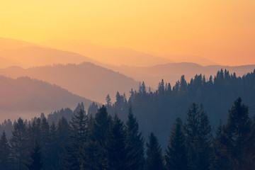 介绍一些经典的动漫作品