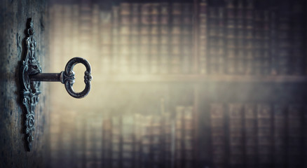 一年级的简单又漂亮禁毒手抄报 一年级的手抄报