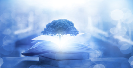 介绍一些经典的动漫作品