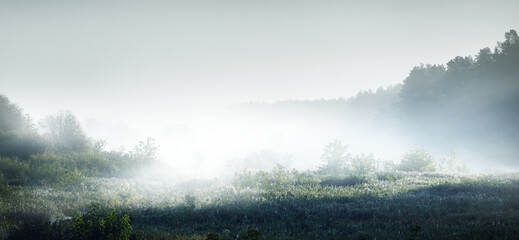 一年级的简单又漂亮禁毒手抄报 一年级的手抄报