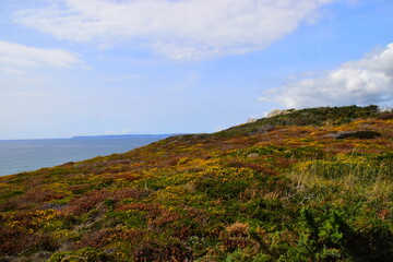 适合跑步发朋友圈的文案短句 开始坚持跑步发的说说