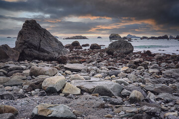 形容花的唯美短句