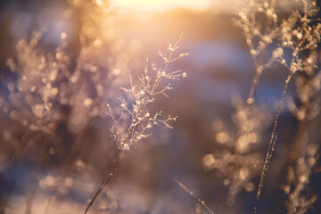 家里摆放的禁忌物品