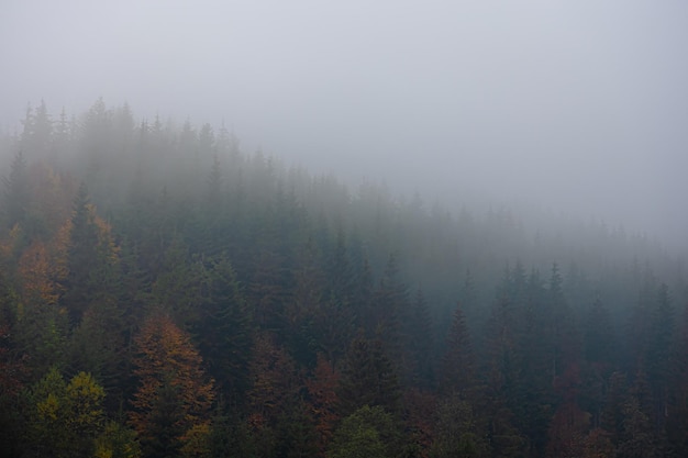 《只有一个地球》课文解析及答案