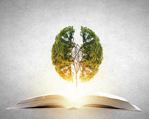 胚胎是怎样形成的