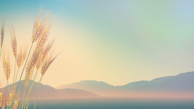 家里摆放的禁忌物品