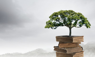 胚胎是怎样形成的