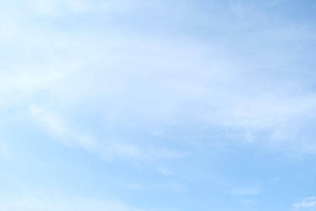 《狼王梦》的结局是什么