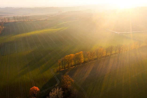 一年级的简单又漂亮禁毒手抄报 一年级的手抄报